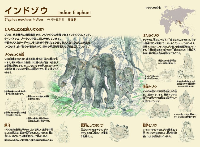 Hirakawa Zoological Park Sign Graphic Design クロッシングインターナショナル